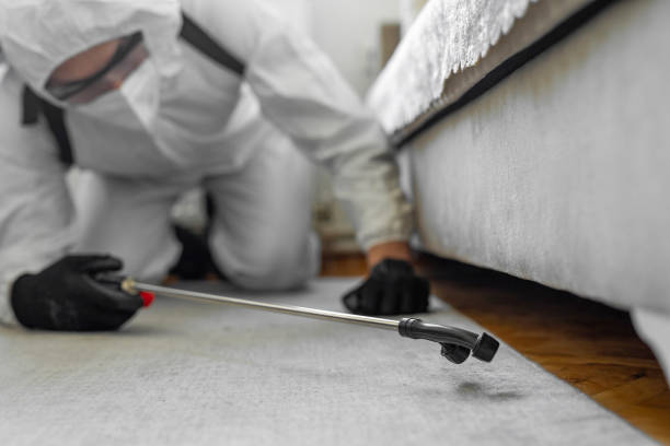 Professional Pest Control technician working in Glades County County, FL